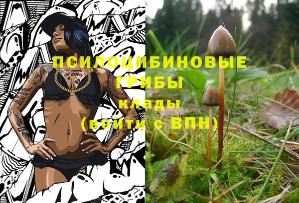 дурь Баксан