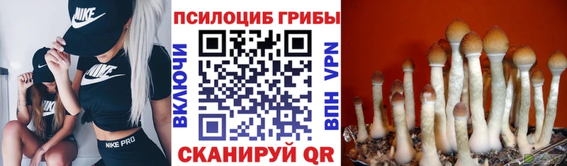 Галлюциногенные грибы прущие грибы хочу Можга